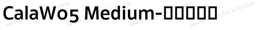 CalaW05 Medium字体转换